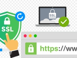 Hướng dẫn cài đặt SSL trên cPanel